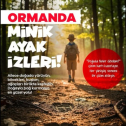 Ormanda Minik Ayak İzleri! 🌲👣