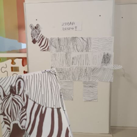 Zebra Deseni - Çizgi Çalışması