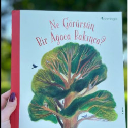 Pazar Okumaları 📚