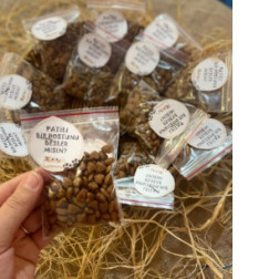 HAYVANLARI KORUMA GÜNÜ