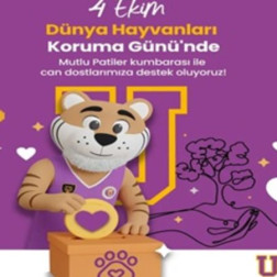 4 Ekim’de Kalplerimiz Can Dostlarımız İçin Atıyor!