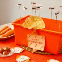 Havuç Çimlendirme Deneyi