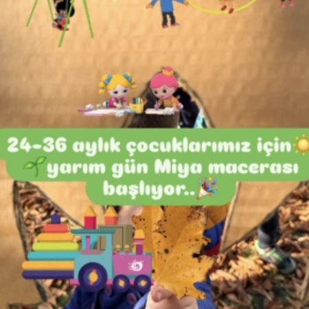 Miya Macerası Başlıyor!
