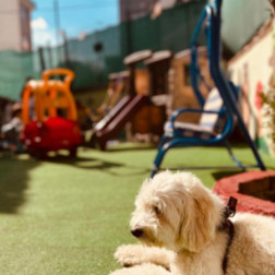 OKUL.COM ÜYELERİNE ÖZEL İNDİRİM FIRSATI