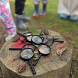 Sonbaharı Büyüteçle Keşfediyorum