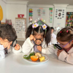 Taze- Bayat Deneyimiz