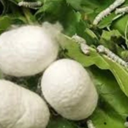 GERİ DÖNÜŞÜM VE SÜRDÜRÜLEBİLİRLİK