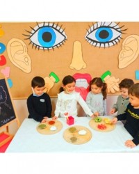 Duyu Organlarımızı Öğrendik