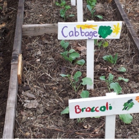 Kendine Yeten Okul Bahçesi