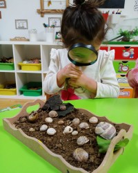 Doğayı Keşfediyoruz, İnceliyoruz