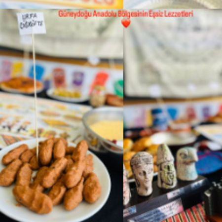 GAP Bölgesini Tanıyoruz