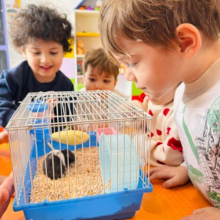 NEŞELİ PANDA'NIN HAYVAN SEVGİSİ