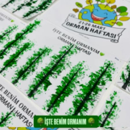 Ormanlar Bizim Nefesimiz