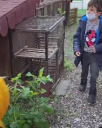 Ekoloji Dersi ve Etkinlikleri