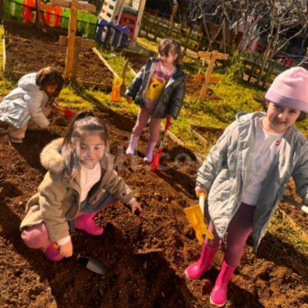 TOHUM EKME ETKİNLİĞİ