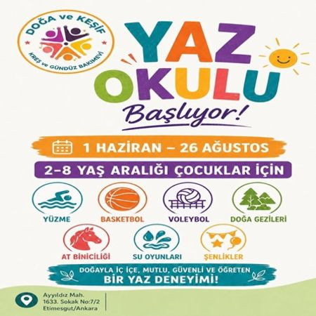 Yaz Okulu Başlıyor !