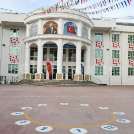 TEMA ETKİLİĞİ