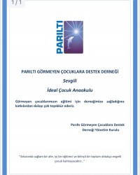 Parıltı Görmeyen Çocuklar Derneği Yardım Kermesi