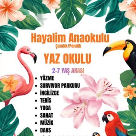 ☀️ Yaz Okulu Kayıtlarımız Devam Ediyor!