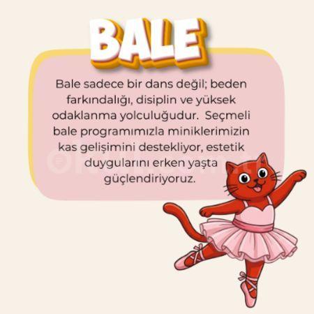 Estetik ve Disiplin Bir Arada: Seçmeli Bale Dersi Ayşe Ozan'da!