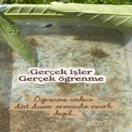 Çocuklar sadece sınıf içerisinde öğrenmeyi ve gelişmeyi gerçekleştiremezler! 