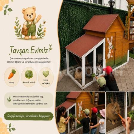🐰 Tavşan Evimizde Sevgi Dolu Anlar! 🥕💚