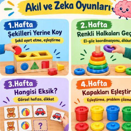 Akıl ve Zeka Oyunları