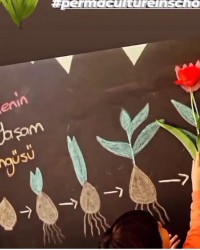 Permakültür Atölyesi (İstanbul Lalesinin Yaşam Döngüsü