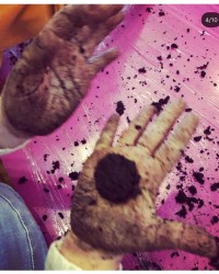 Permakültür Atölyesi Tohum Topu