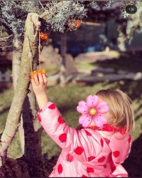 Geri Dönüşüm Atölyesi Kuş Yemi