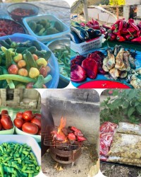 Yemek listelerimiz; helal gıda ve organik beslenmeye uygun olarak hazırlanmaktadır