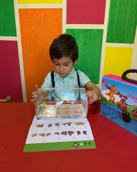 AKIL VE ZEKA OYUNLARI: ZEKARE