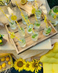 Limonata Partisi