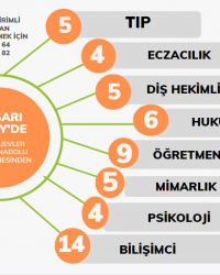 BAŞARI BİREY'DE