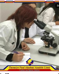 Bilim ve Fen Kulübü