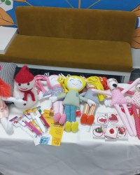 LÖSEV YARDIM KAMPANYASI