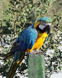 Altınay Anadolu Lisesi Fotoğrafçılık Kulübü İle Şile Saklı Göl'de Doğanın Göz Alıcı Güzelliklerini Keşfettik!