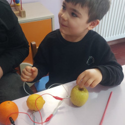 Eğitimin Kalbinde: Tüm Branşlarla Zenginleştirilmiş Eğitim Modeli
