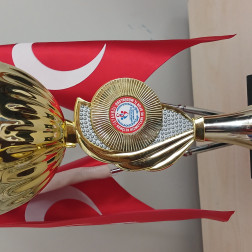 Mendil Kapmaca