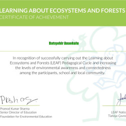 OKULLARDA ORMAN PROJESİ