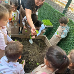Permakültür İçin Bitki Ekimi Etkinliği!