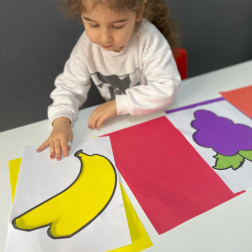 Algoritma Çalışmalarımız