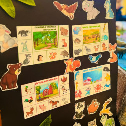 ORMAN HAFTASI (21-26 MART)