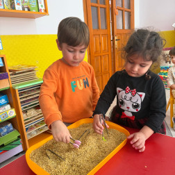 Karıncanın Yaşam Döngüsü Etkinliğimiz