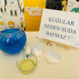 “Kuğular Neden Suda Batmaz?” Etkinliğimiz