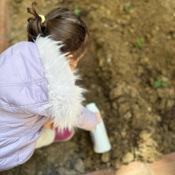 🌱 Toprakla Buluştuk: Bostan Ekimi Atölyemizi Gerçekleştirdik!