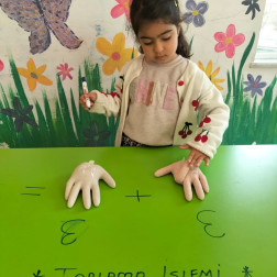 Matematikle Tanışıyoruz: Toplama İşlemine Eğlenceli Giriş!