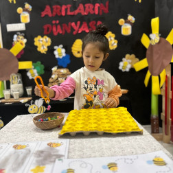 Arıların Dünyası