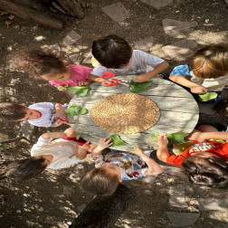 Montessori ile Doğayı Keşfediyoruz: Yaprak Çeşitleri 🌿