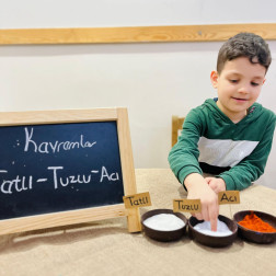 KAVRAM ÇALIŞMASI